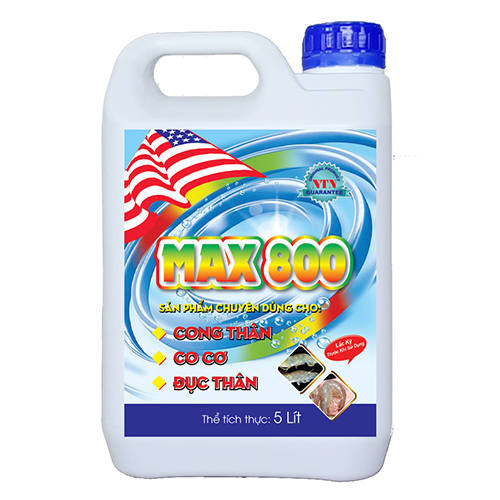 MAX 800 ntn